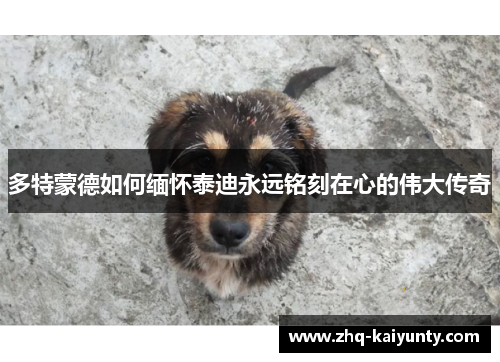 多特蒙德如何缅怀泰迪永远铭刻在心的伟大传奇