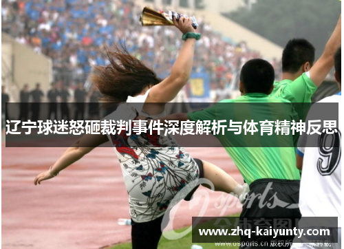 辽宁球迷怒砸裁判事件深度解析与体育精神反思