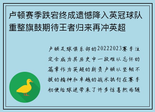 卢顿赛季跌宕终成遗憾降入英冠球队重整旗鼓期待王者归来再冲英超
